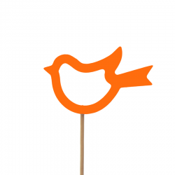 Pick pájaro hueco