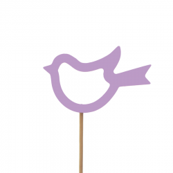 Pick pájaro hueco