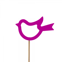 Pick pájaro hueco