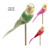 Pick pájaros surtidos