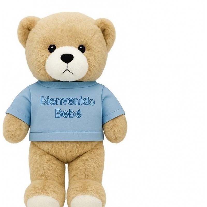 osito bienvenido bebe