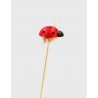 Pick mariquita madera